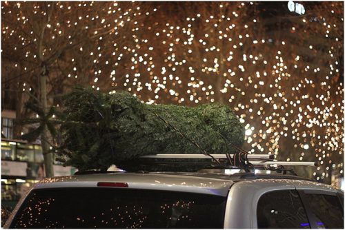 Christmas Tree on roof of car with holiday lights
