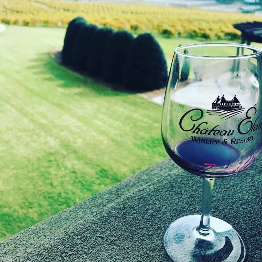 Chateau Elan wine glass with view of a field