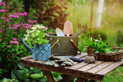 Summer Gardening Still Life ©Maria Evseyeva