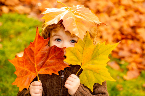 Fall Fun Near Traditions of Braselton in North Georgia ©Volodymyr TVERDOKHLIB