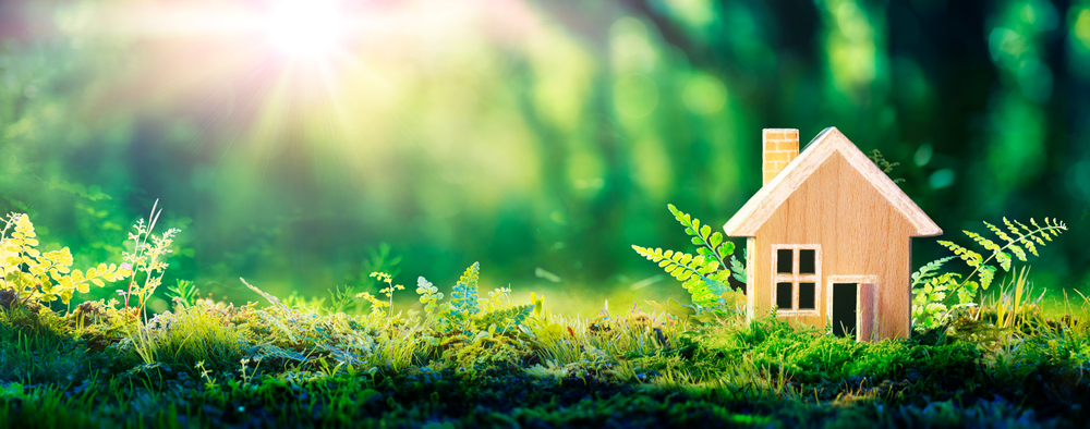 Eco-Friendly Tips For Your Home ©Romolo Tavani