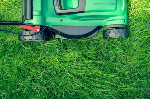 Curb Appeal and Lawn Care Tips in Georgia