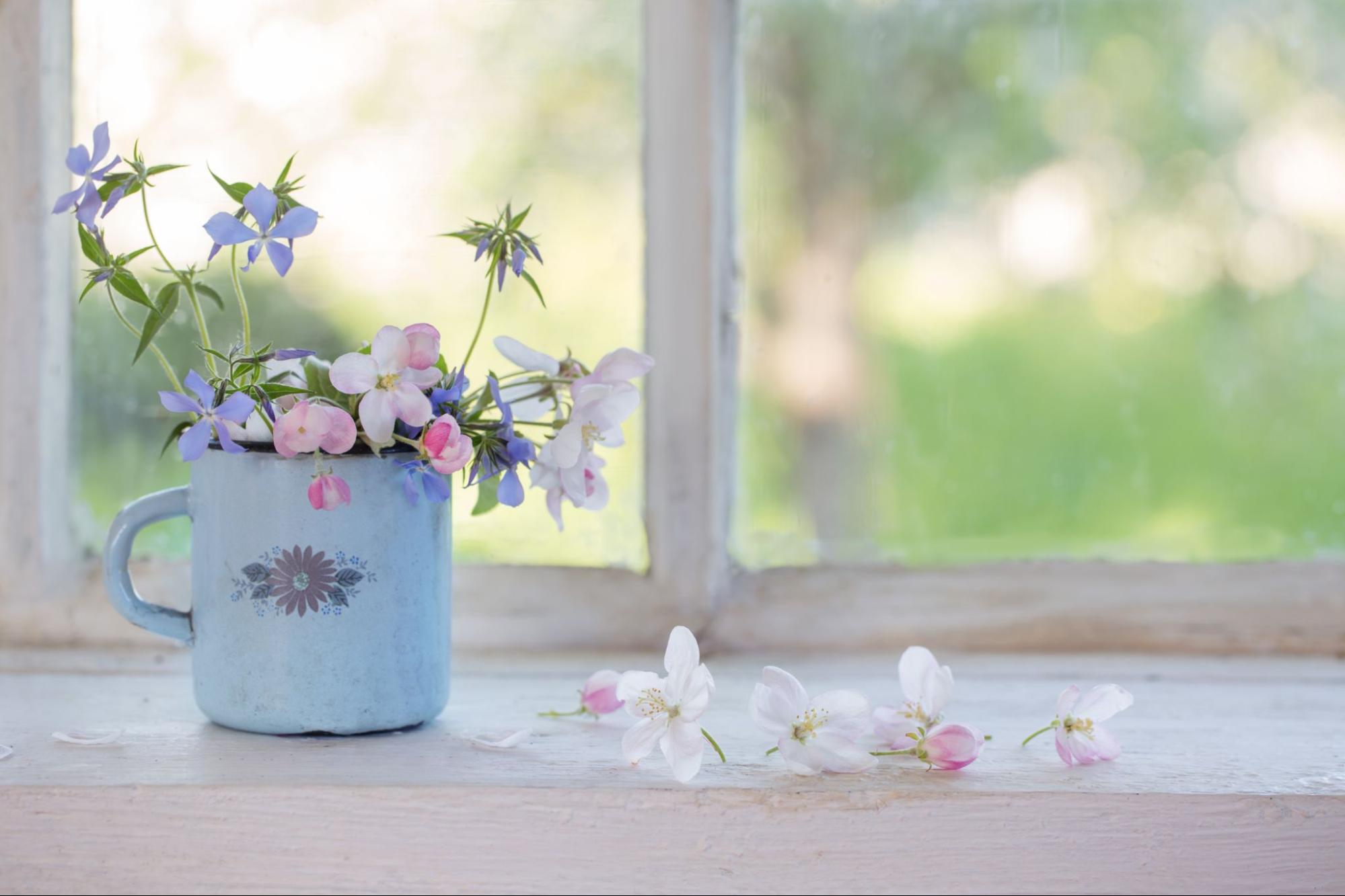 Pastel spring flowers arranged in a blue mug on a white windowsill with natural light. ©Maya Kruchankova