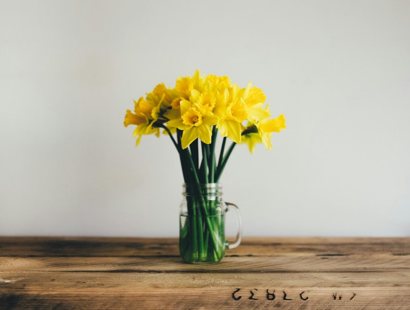 A bouquet of bright yellow daffodils in a clear glass mason jar sits on a rustic wooden table against a plain light background.