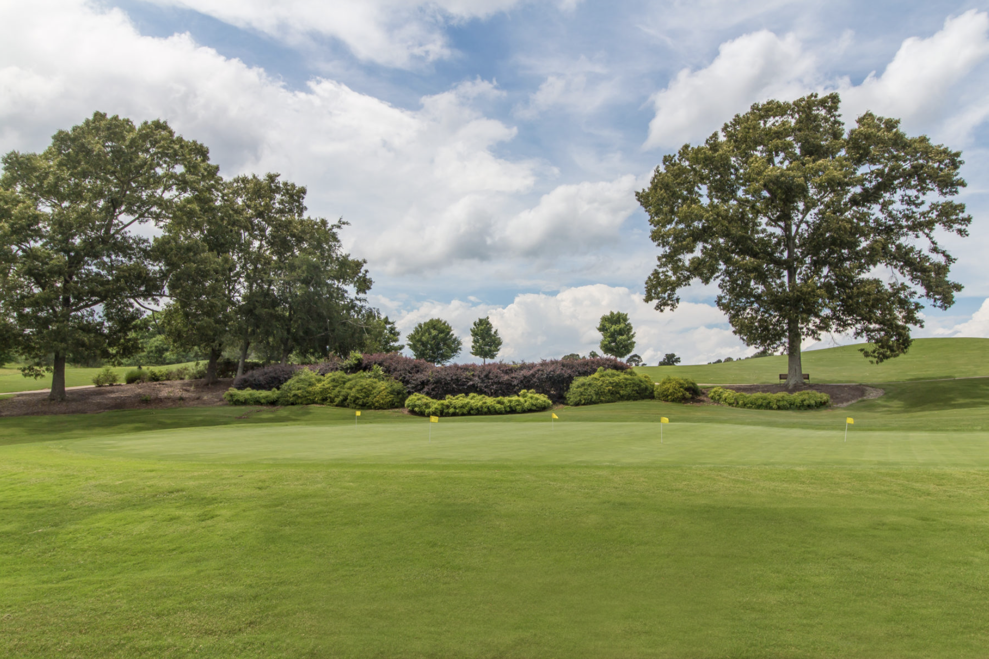 Pristine green golf course fairway and putting green at Traditions of Braselton under a cloudy sky.
