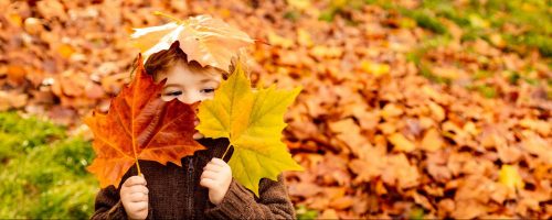 small child plays in fall leaves ©Volodymyr TVERDOKHLIB