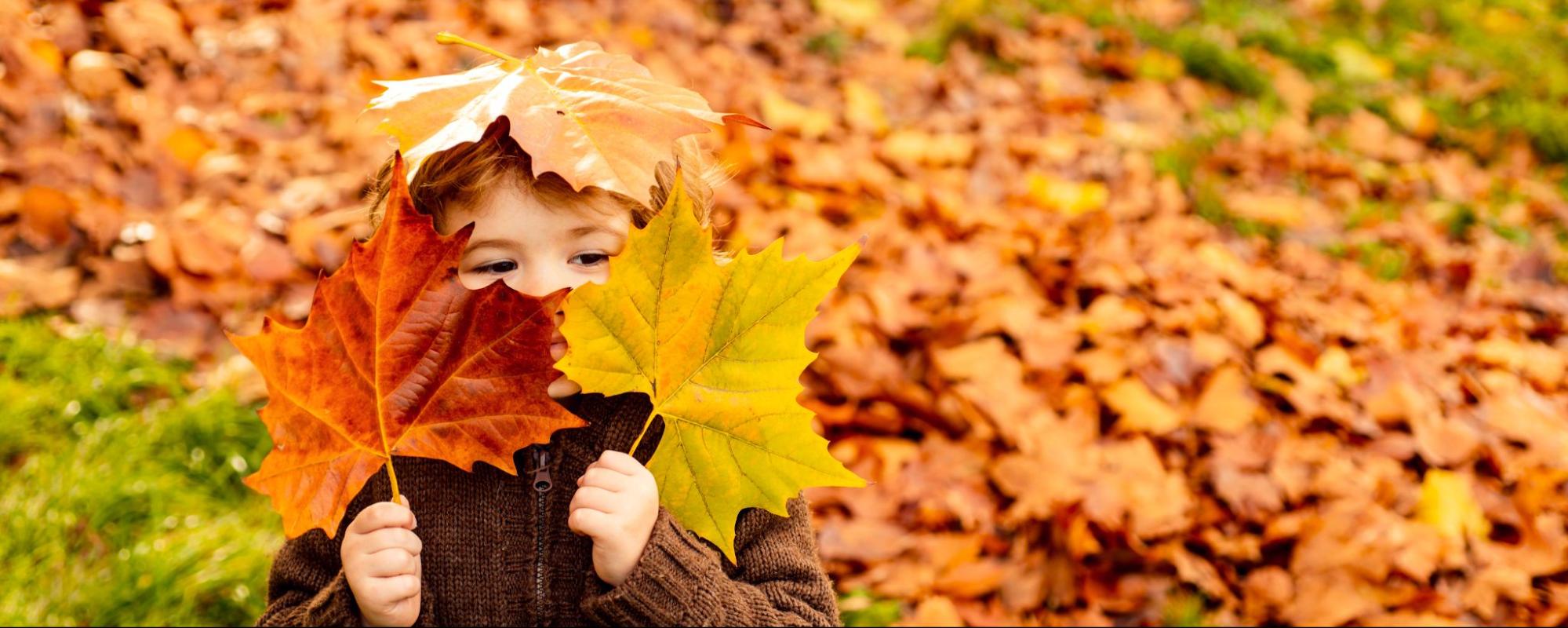 small child plays in fall leaves ©Volodymyr TVERDOKHLIB